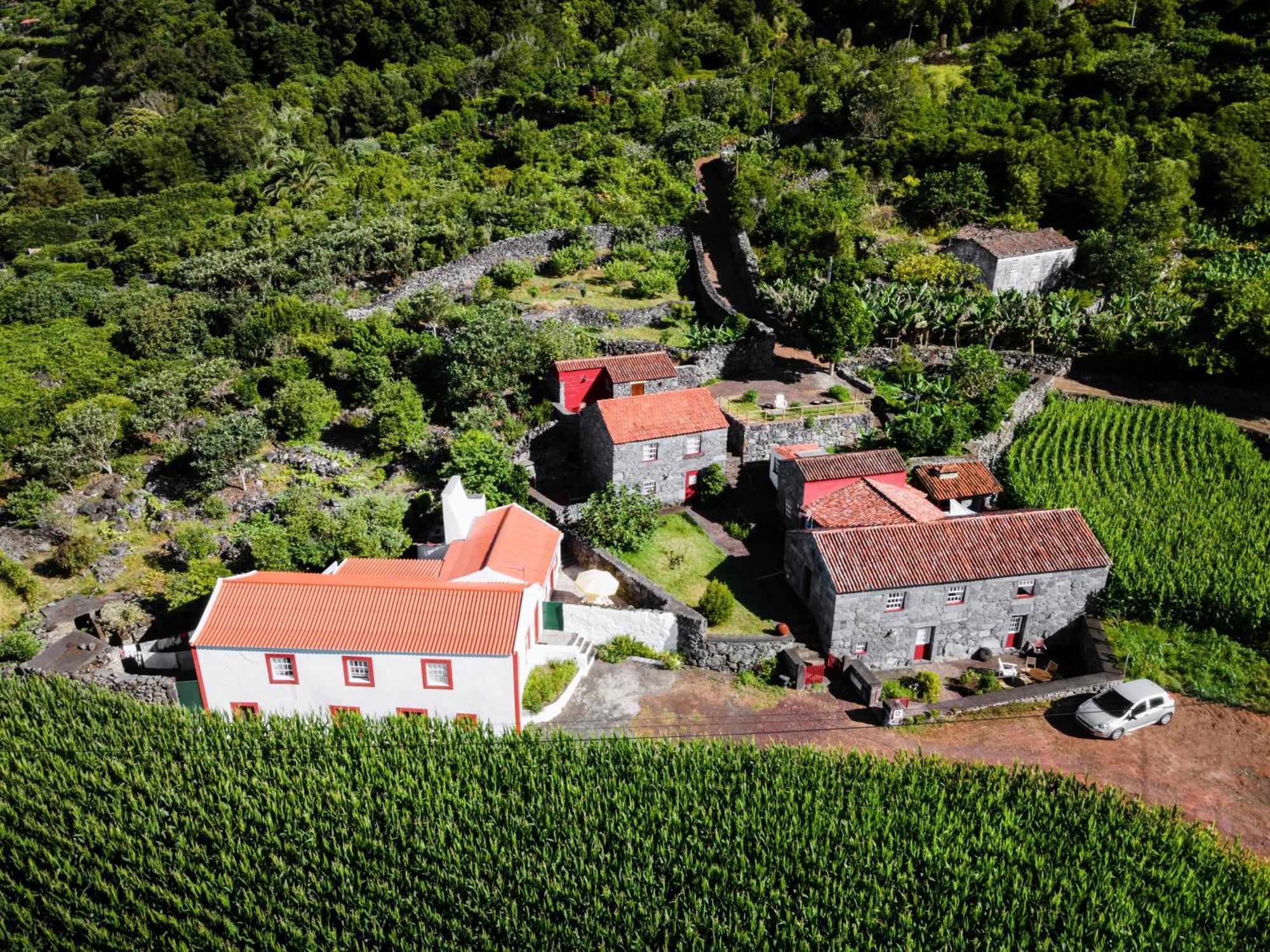 Casas Dos Vimes Faja dos Vimes Exterior foto